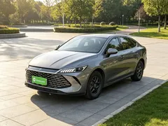 2025 BYD Qin PLUS DM-i PHEV Smart Driving 55km Leading — фото 1