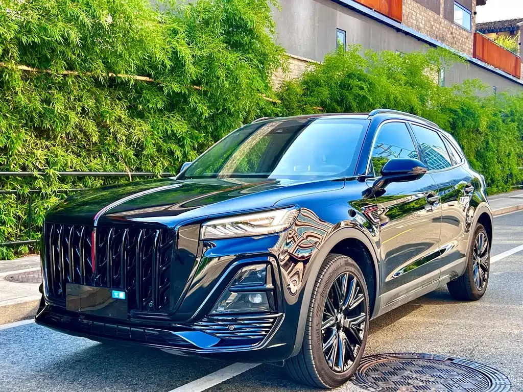 2025 Hongqi HS5 2.0T 2WD Xuanying