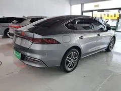2024 BYD Qin PLUS Honor Edition EV 420km — фото 7