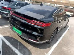 2021 BYD Han EV Standard Range Luxury, чёрный — фото 7