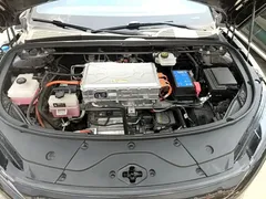 2021 BYD Han EV Standard Range Luxury, чёрный — фото 20