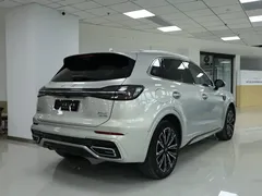 2023 Hongqi HS5 2.0T 4WD Qixiang Pro — фото 6
