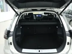 2023 Hongqi HS5 2.0T 4WD Qixiang Pro — фото 15