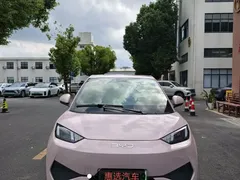 2025 BYD Seagull EV 305km — фото 2