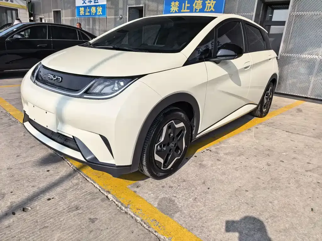 2025 BYD Dolphin 420km Freedom