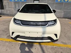 2025 BYD Dolphin 420km Freedom, белый — фото 2