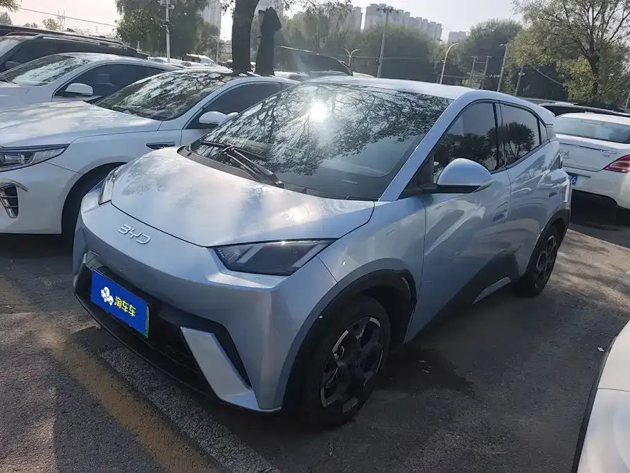 2024 BYD Seagull EV 305km Honor Freedom