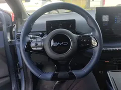 2024 BYD Seagull EV 305km Honor Freedom, синий — фото 15
