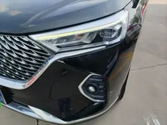 2021 Haval M6 PLUS 1.5T MT Luxury, чёрный — фото 24