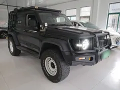 2021 Tank 300 Off-road 2.0T Conqueror, чёрный — фото 4