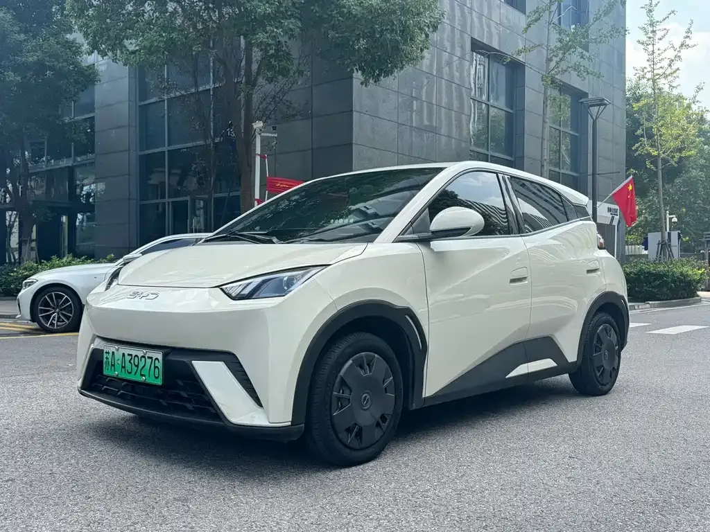 2023 BYD Seagull Vitality