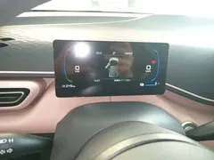 2025 BYD Seagull 305km Vitality, белый — фото 12