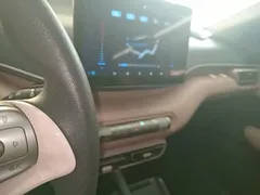 2025 BYD Seagull 305km Vitality, белый — фото 13