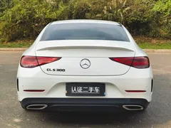 2021 Mercedes-Benz CLS 300 Luxury, белый — фото 6