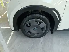 2025 BYD Seagull 305km Vitality, белый — фото 23
