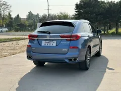 2020 Honda Avancier 370TURBO 4WD Ultimate, синий — фото 6