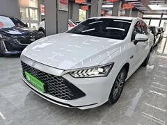 2023 BYD Qin PLUS Champion DM-i PHEV 120KM, белый — фото 2