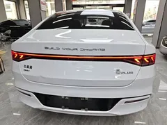 2023 BYD Qin PLUS Champion DM-i PHEV 120KM, белый — фото 6