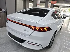 2023 BYD Qin PLUS Champion DM-i PHEV 120KM, белый — фото 7