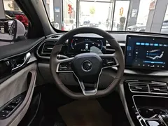 2023 BYD Qin PLUS Champion DM-i PHEV 120KM, белый — фото 11