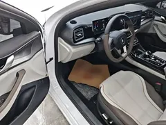 2023 BYD Qin PLUS Champion DM-i PHEV 120KM, белый — фото 16