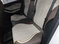 2023 BYD Qin PLUS Champion DM-i PHEV 120KM, белый — фото 17