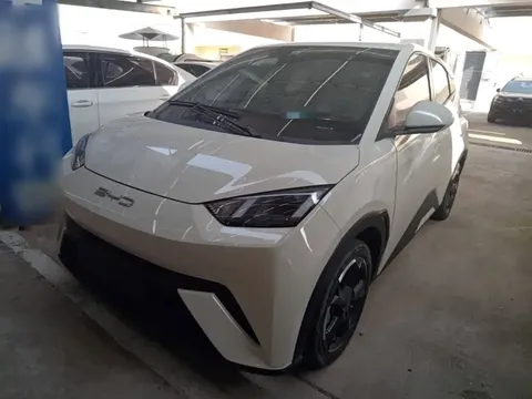 2023 BYD Seagull Freedom
