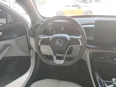 2024 BYD Qin PLUS Honor DM-i PHEV 55km Leading, белый — фото 11