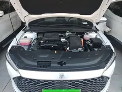 2024 BYD Qin PLUS Honor DM-i PHEV 55km Leading, белый — фото 20