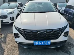 2023 Hyundai Tucson L 1.5T AT 2WD LUX Premium, белый — фото 2