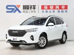 2021 Haval M6 Plus 1.5T DCT Luxury, белый — фото 1