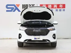2021 Haval M6 Plus 1.5T DCT Luxury, белый — фото 17