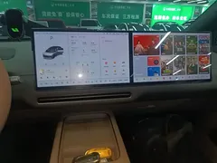 2025 Li Auto i6 2WD Standard — фото 13