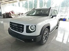 2021 Haval Dargo 2.0T DCT 4WD, белый — фото 2