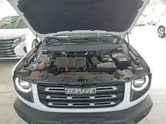 2021 Haval Dargo 2.0T DCT 4WD, белый — фото 20