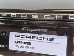 2022 Porsche Cayenne 3.0T Platinum — фото 20