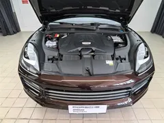 2022 Porsche Cayenne 3.0T Platinum — фото 24