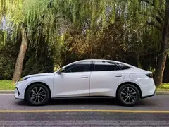 2025 BYD Seal 06 DM-i PHEV Smart Driving 80KM Premium, белый — фото 9