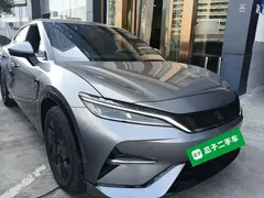 2024 BYD Song L EV 550km Excellence — фото 4