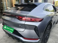 2024 BYD Song L EV 550km Excellence — фото 7