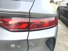 2024 BYD Song L EV 550km Excellence — фото 8