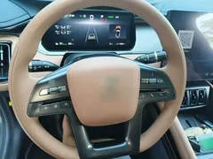 2024 BYD Song L EV 550km Excellence — фото 11