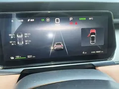 2024 BYD Song L EV 550km Excellence — фото 12