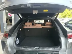 2024 BYD Song L EV 550km Excellence — фото 19