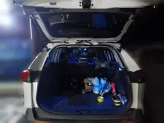 2021 Toyota RAV4 2.0L CVT 2WD Fashion, белый — фото 20