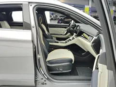 2021 BYD Song PLUS EV Premium — фото 8