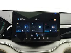 2021 BYD Song PLUS EV Premium — фото 13