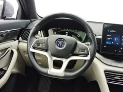 2021 BYD Song PLUS EV Premium — фото 15