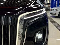 2023 Hongqi HQ9 2.0T — фото 14