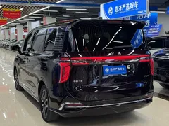 2023 Hongqi HQ9 2.0T — фото 16